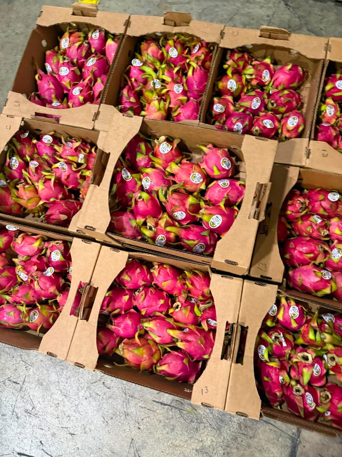 Dragon fruit cases