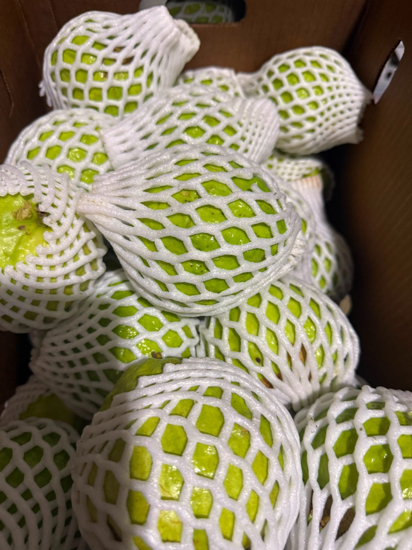 Protected guava
