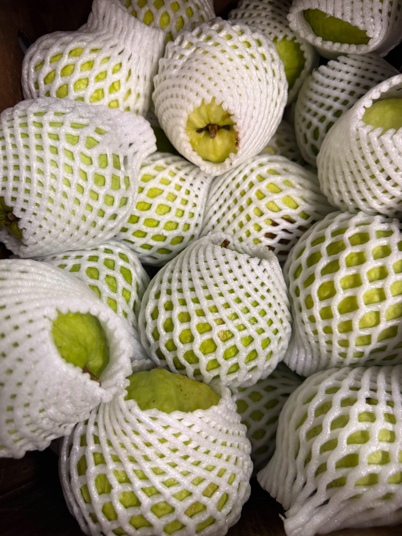 Guava inventory