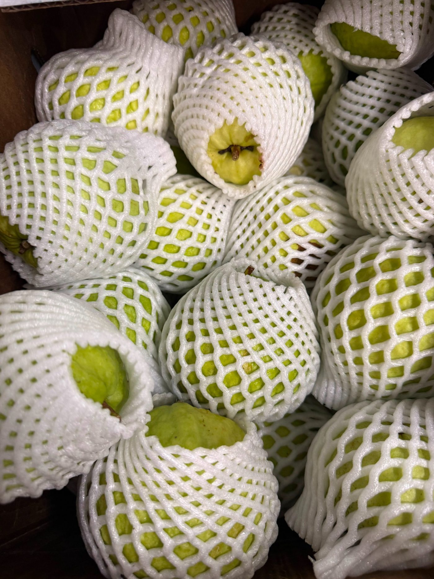 Fresh guava