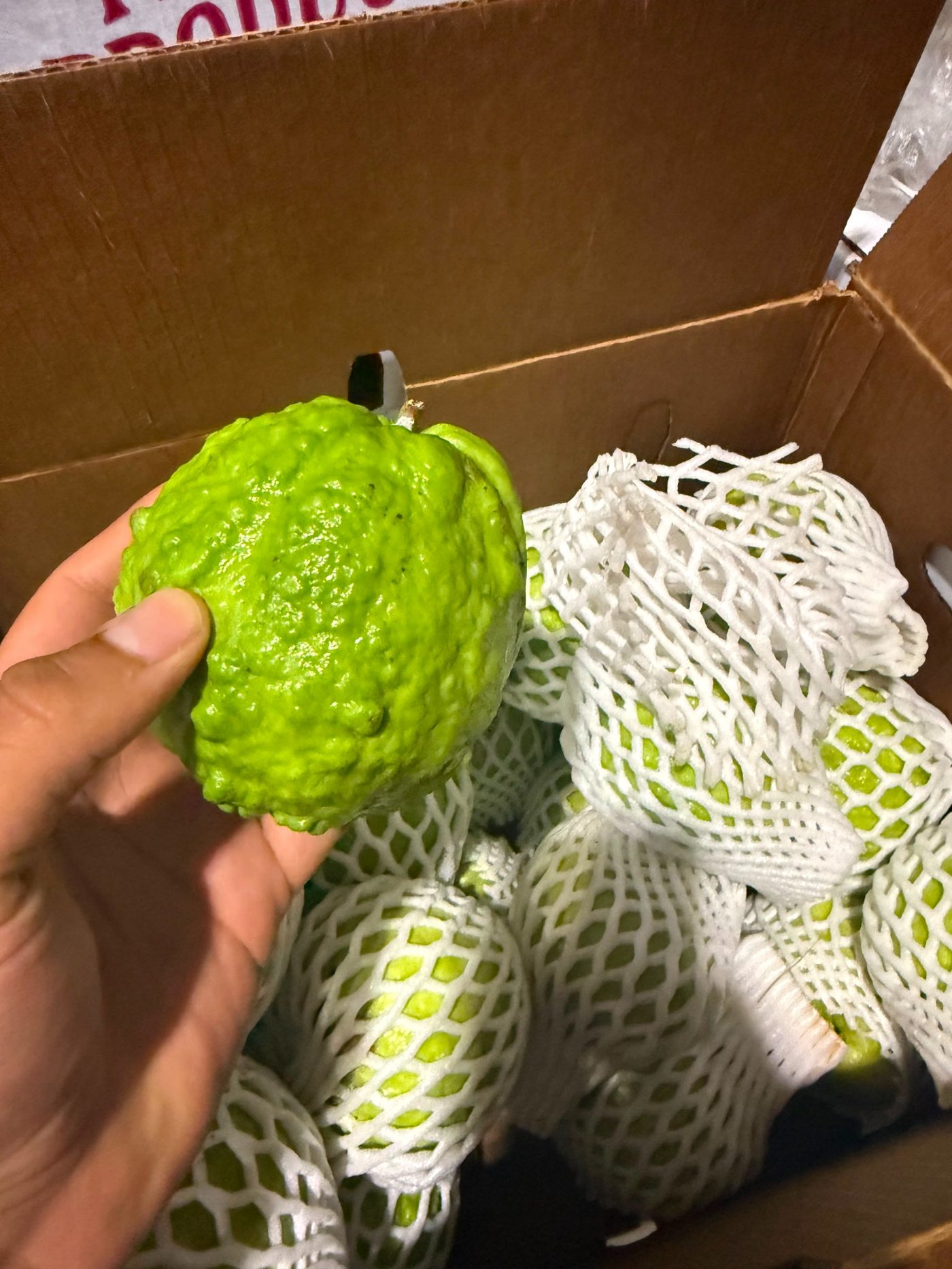 Fresh guava