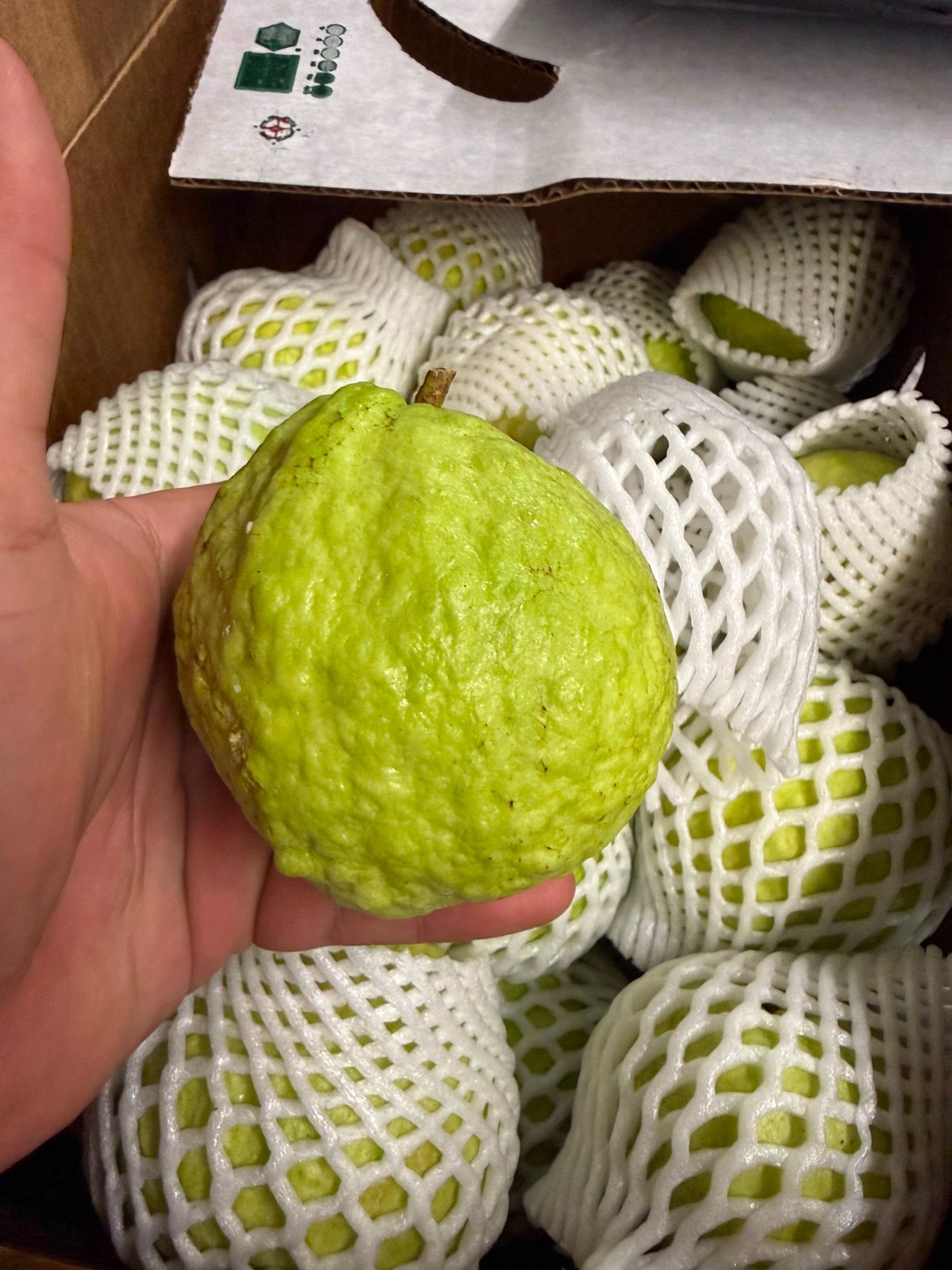 Guava quality