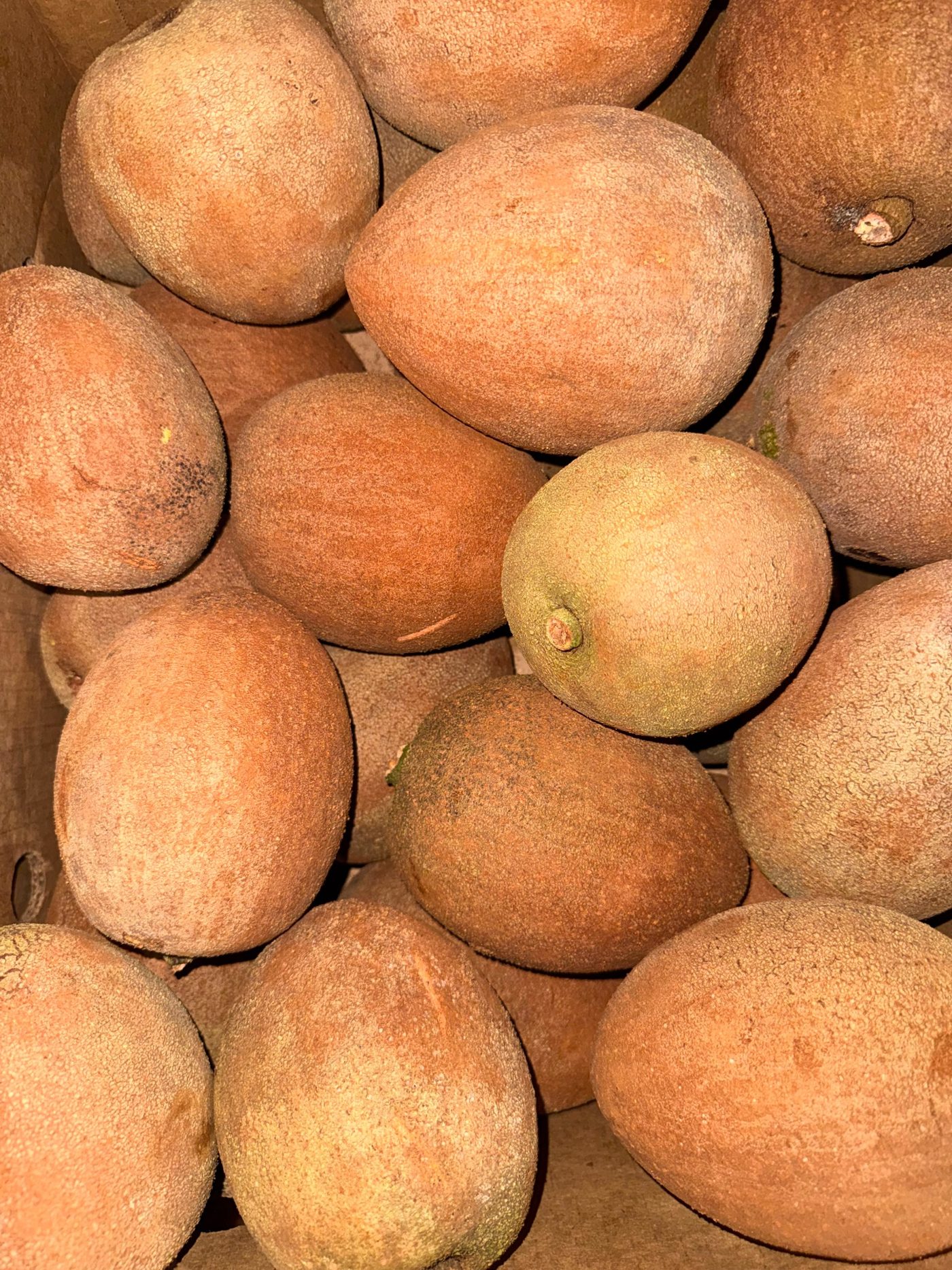 Mamey sapote