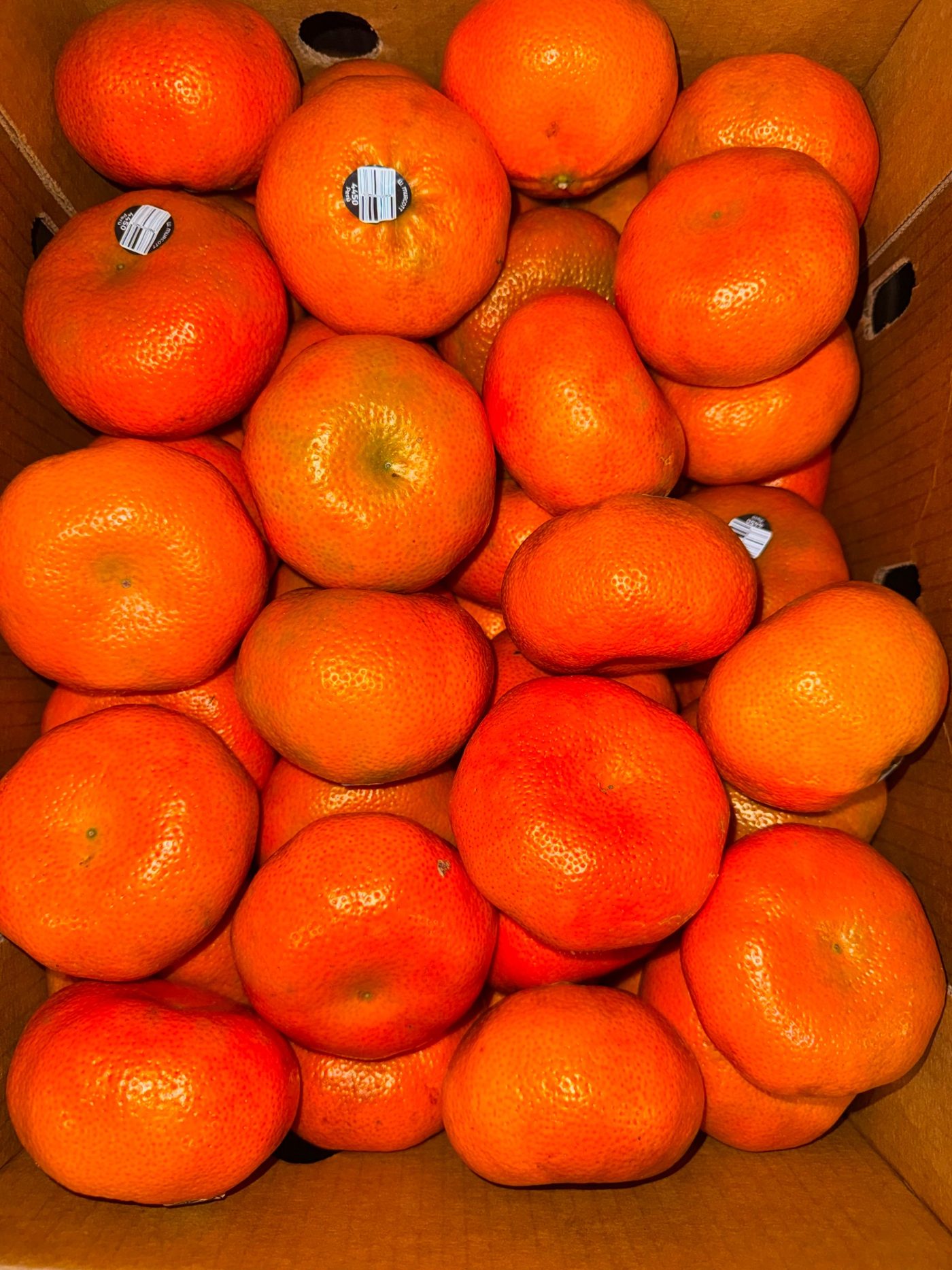 Fresh mandarins