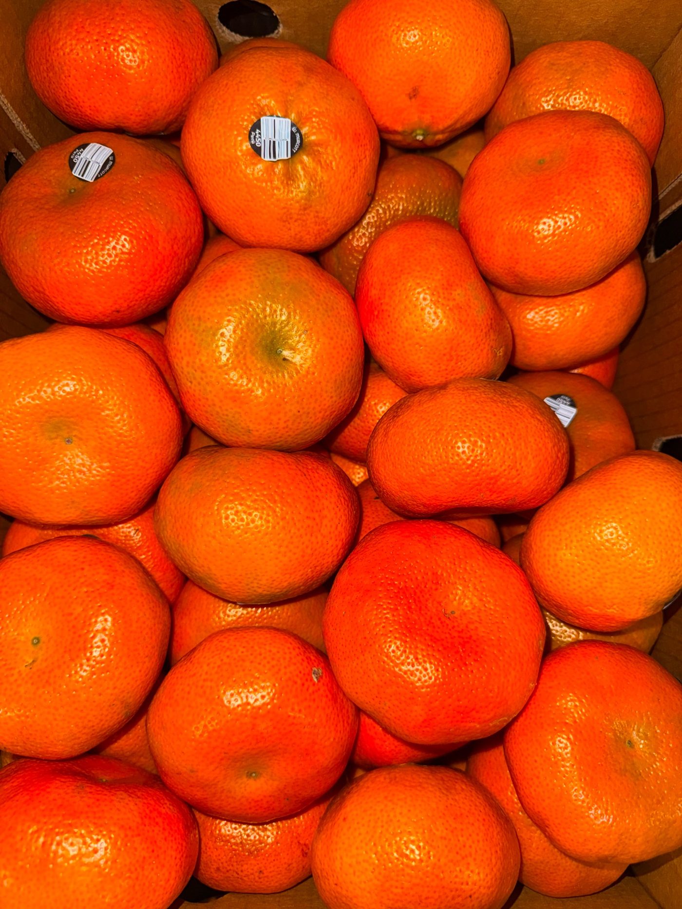 Fresh mandarins