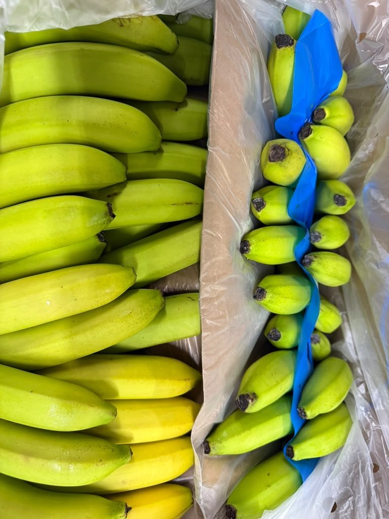 Plantains