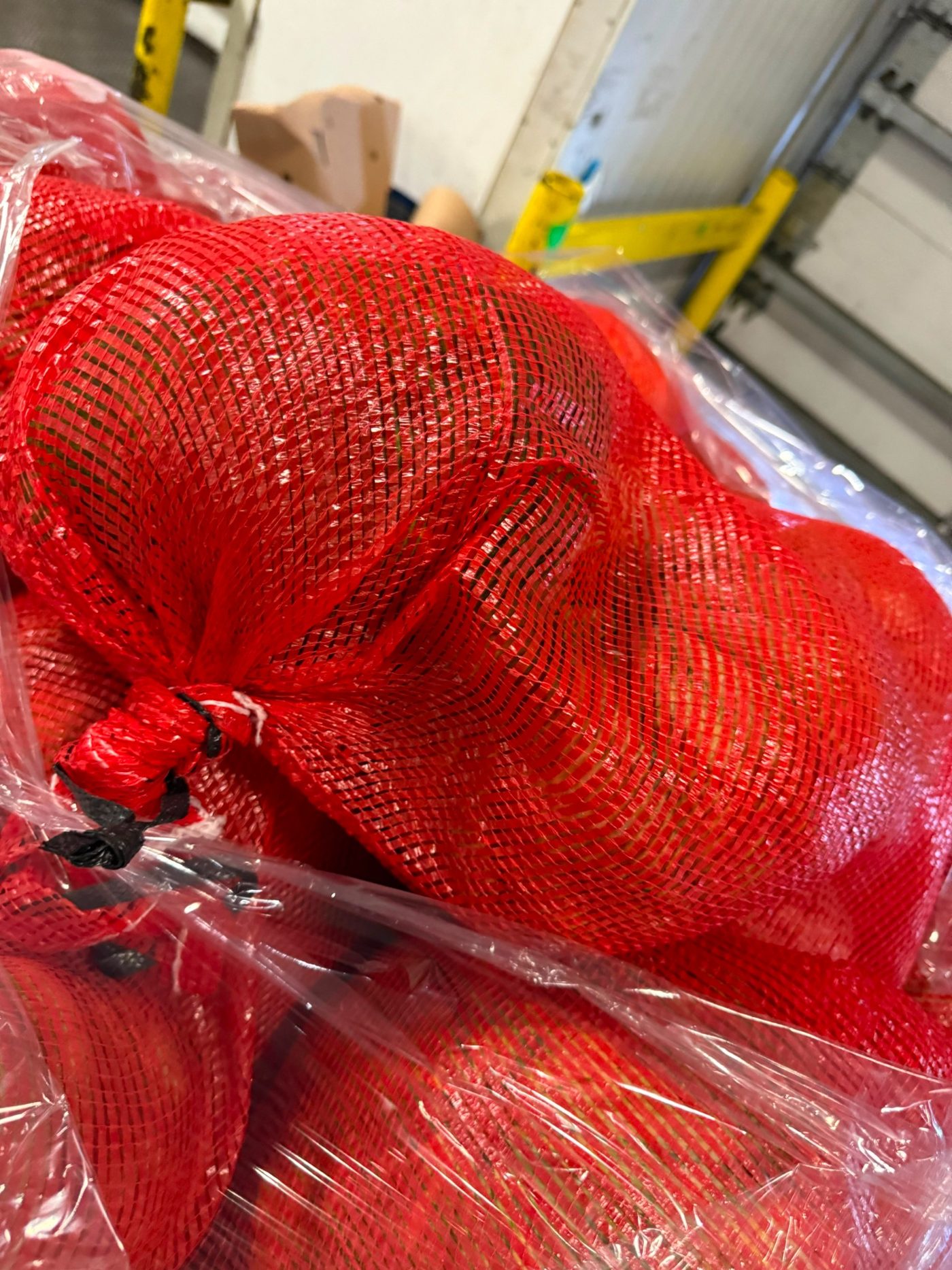 Red onion packaging