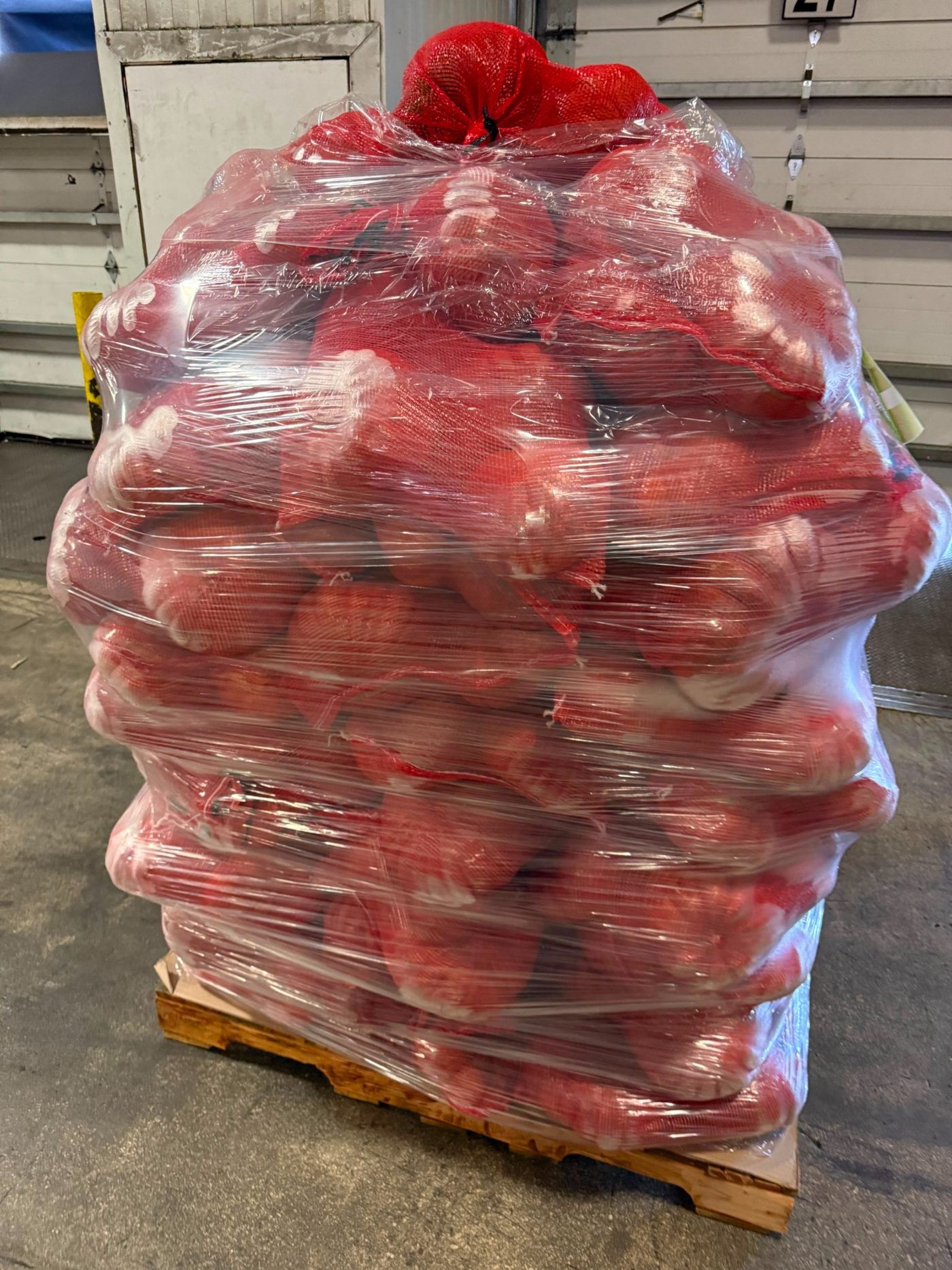 Wholesale red onions on pallet