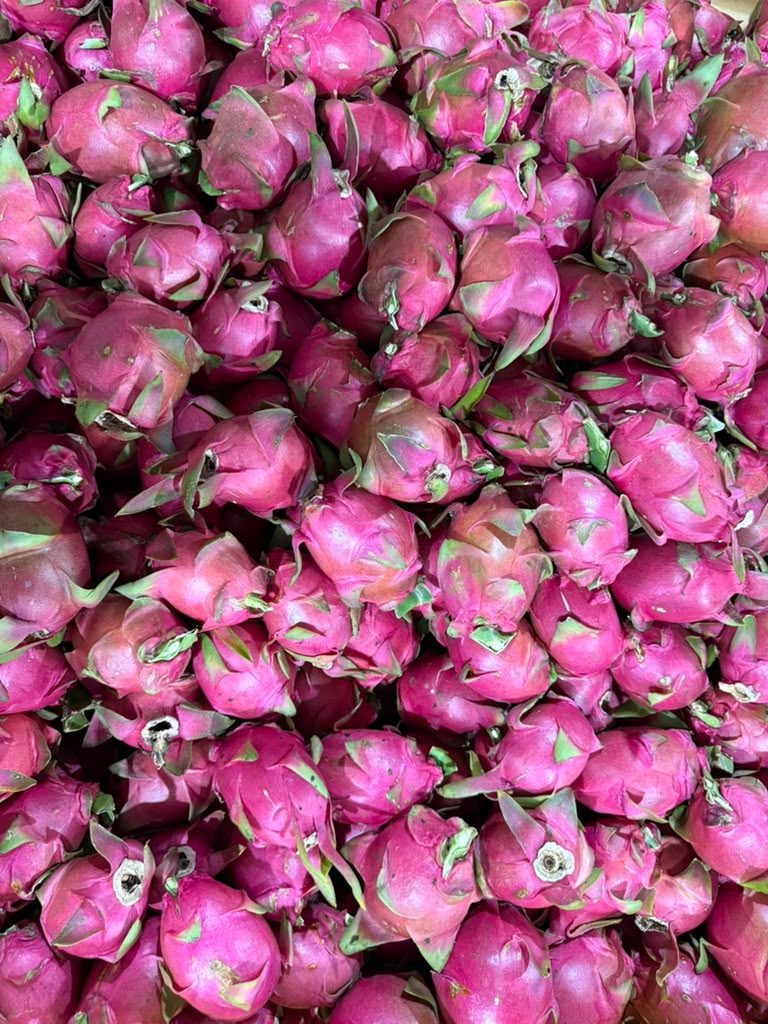 Dragon fruit