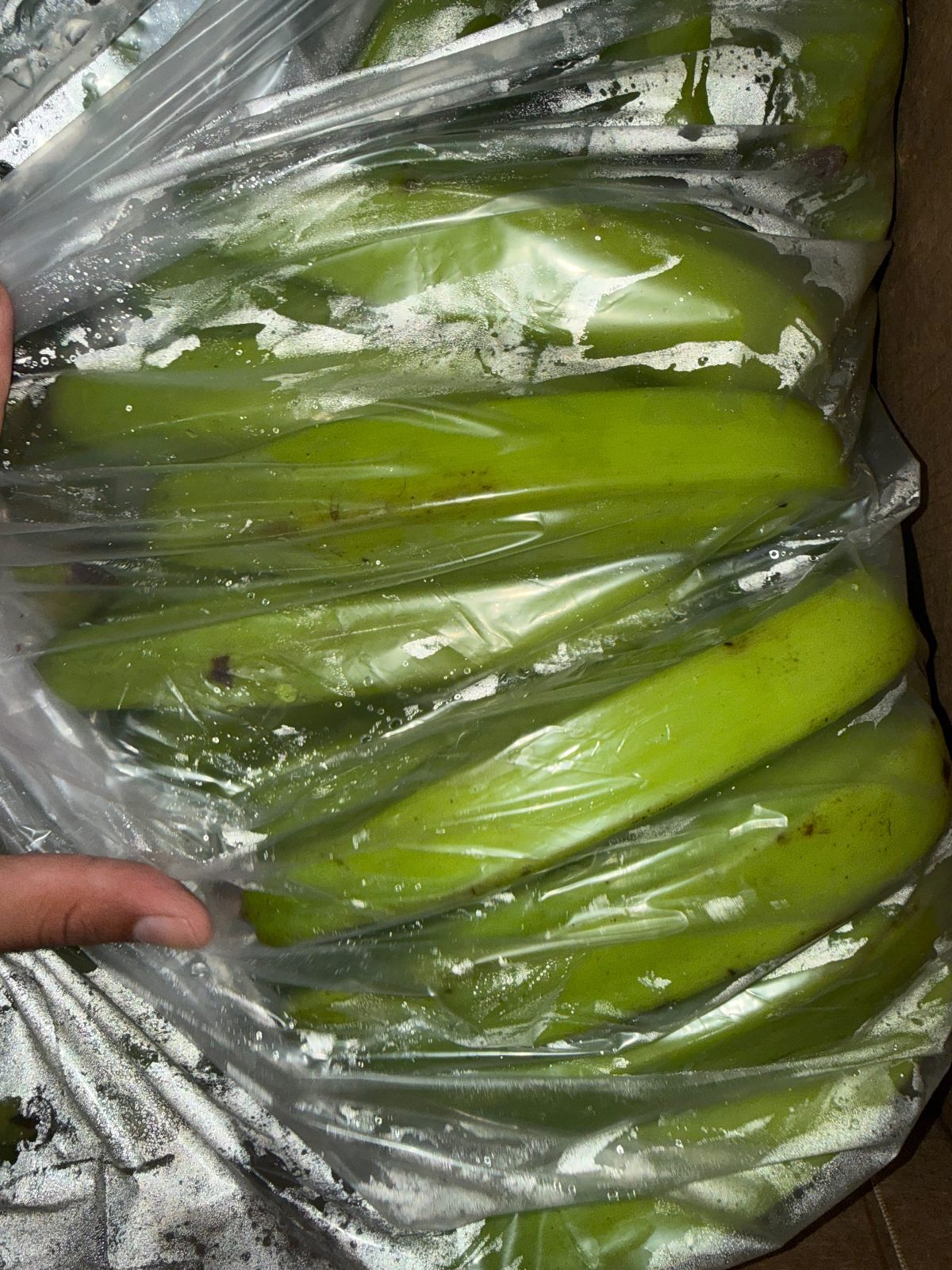 Plantains