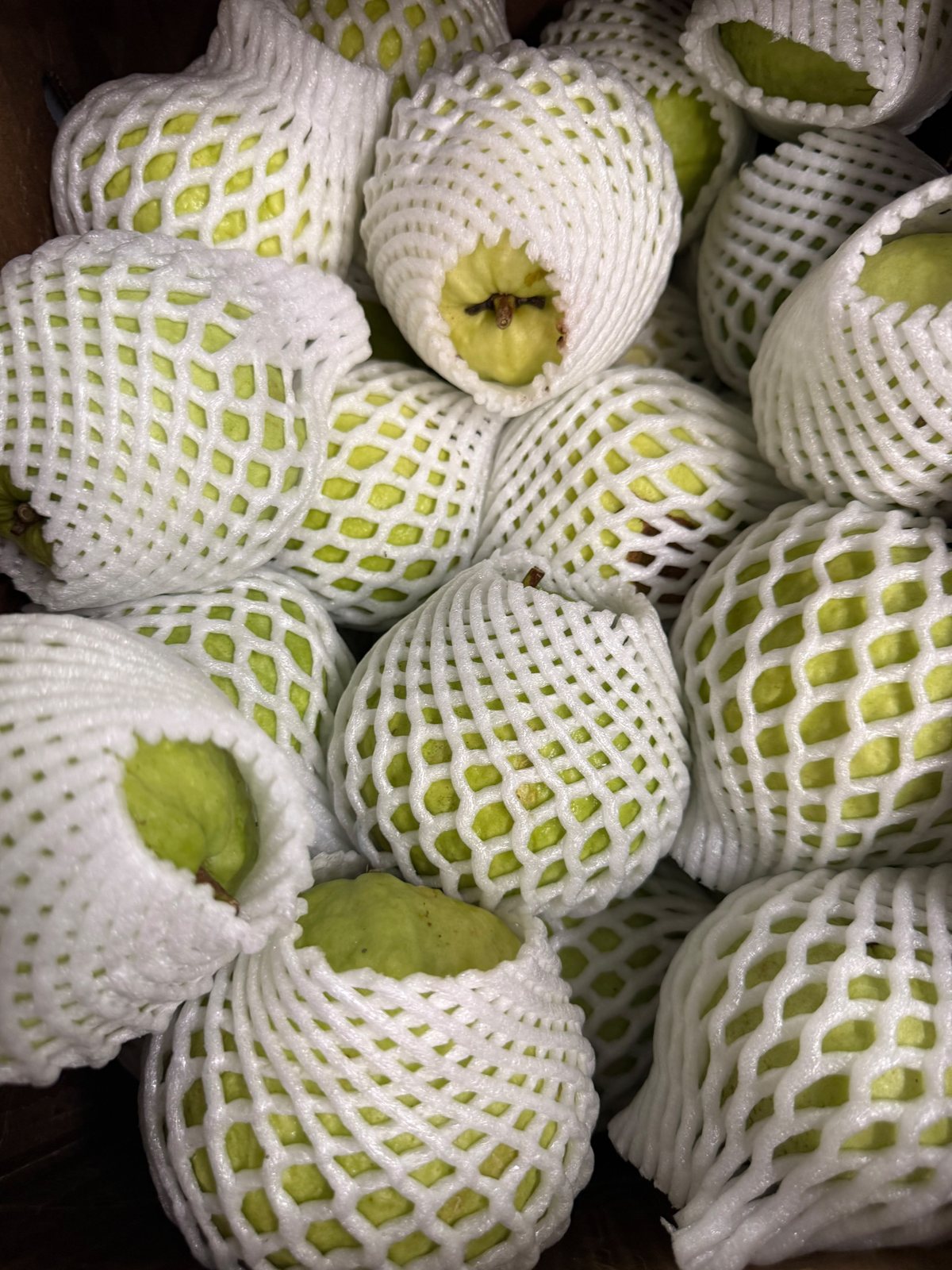 Guava wholesale produce