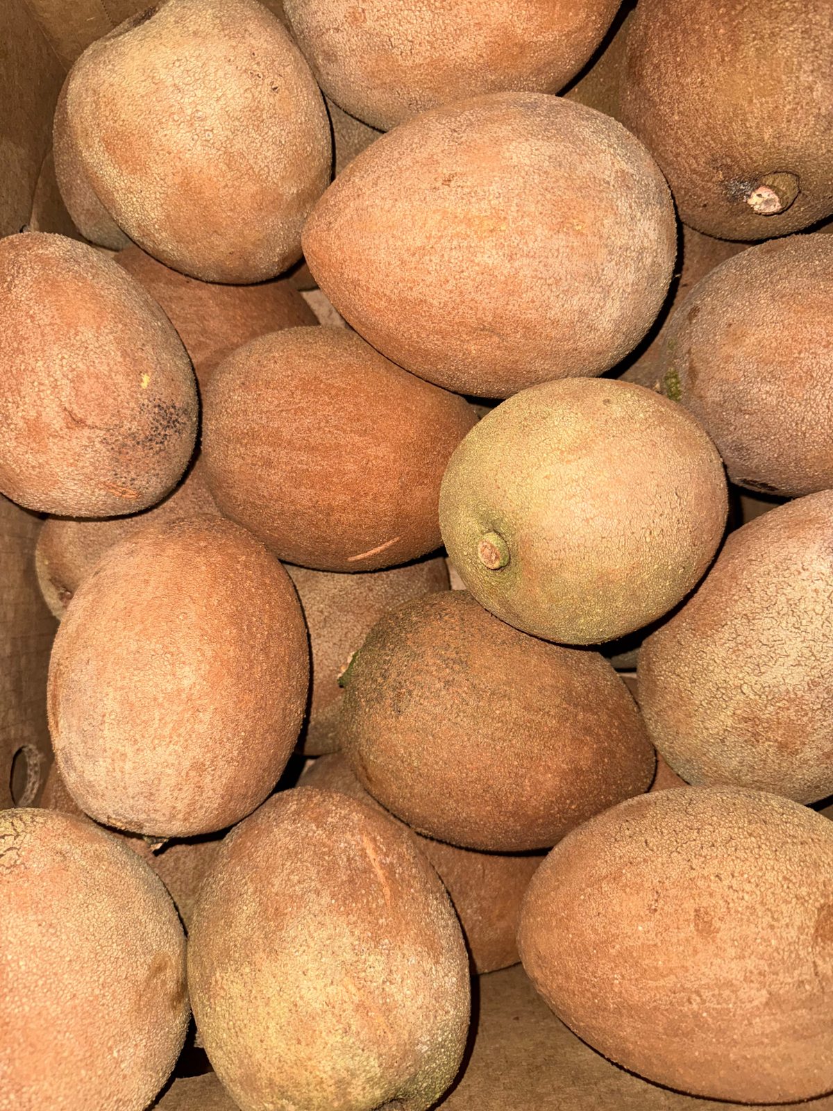 Mamey
