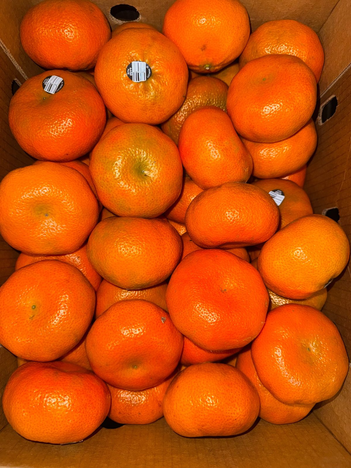 Mandarins wholesale produce