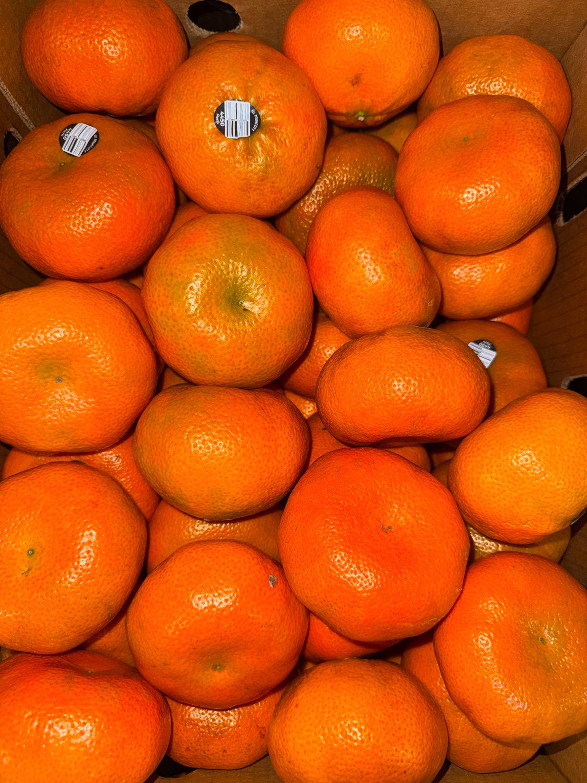 Mandarins