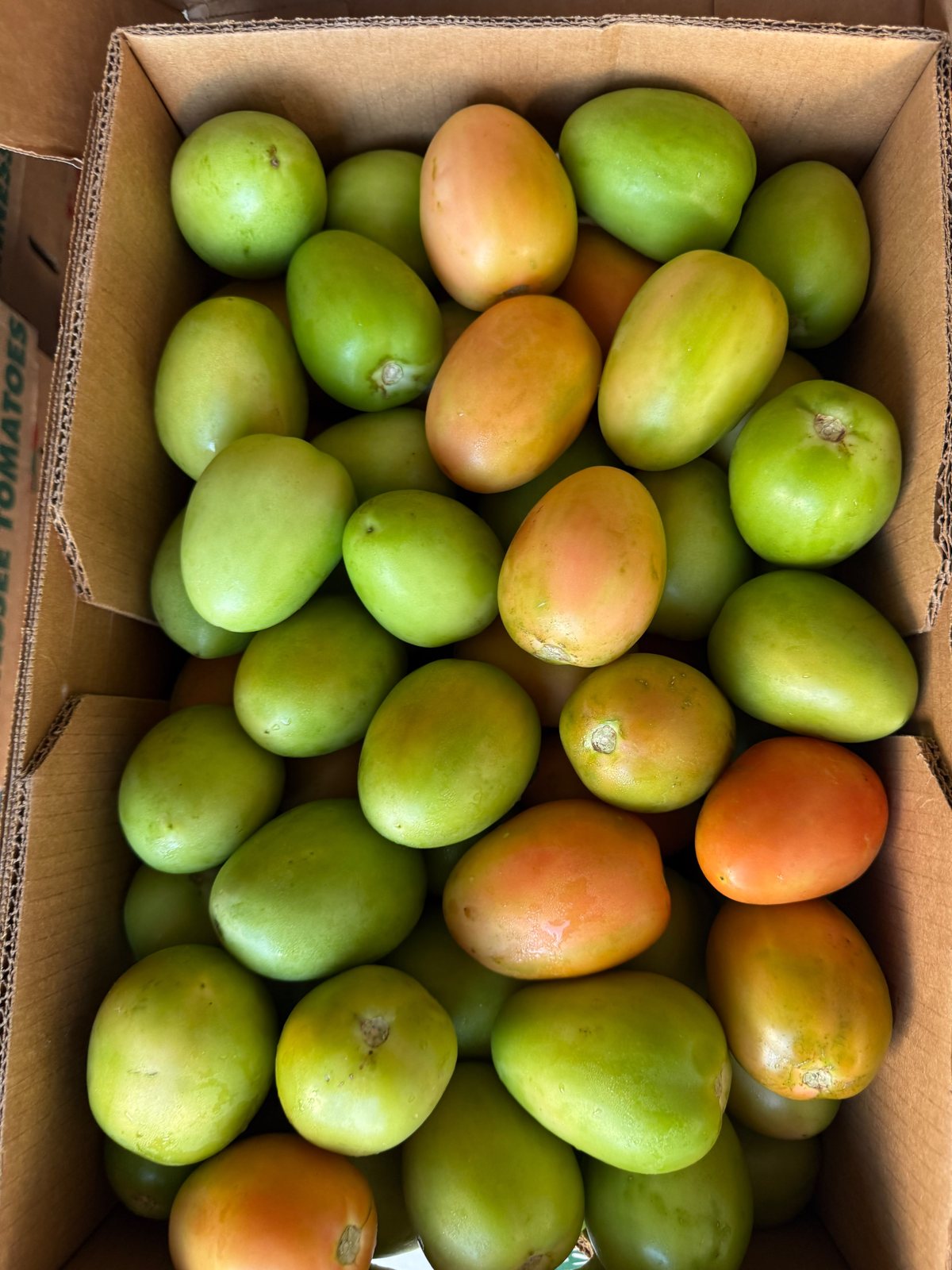 Tomatoes