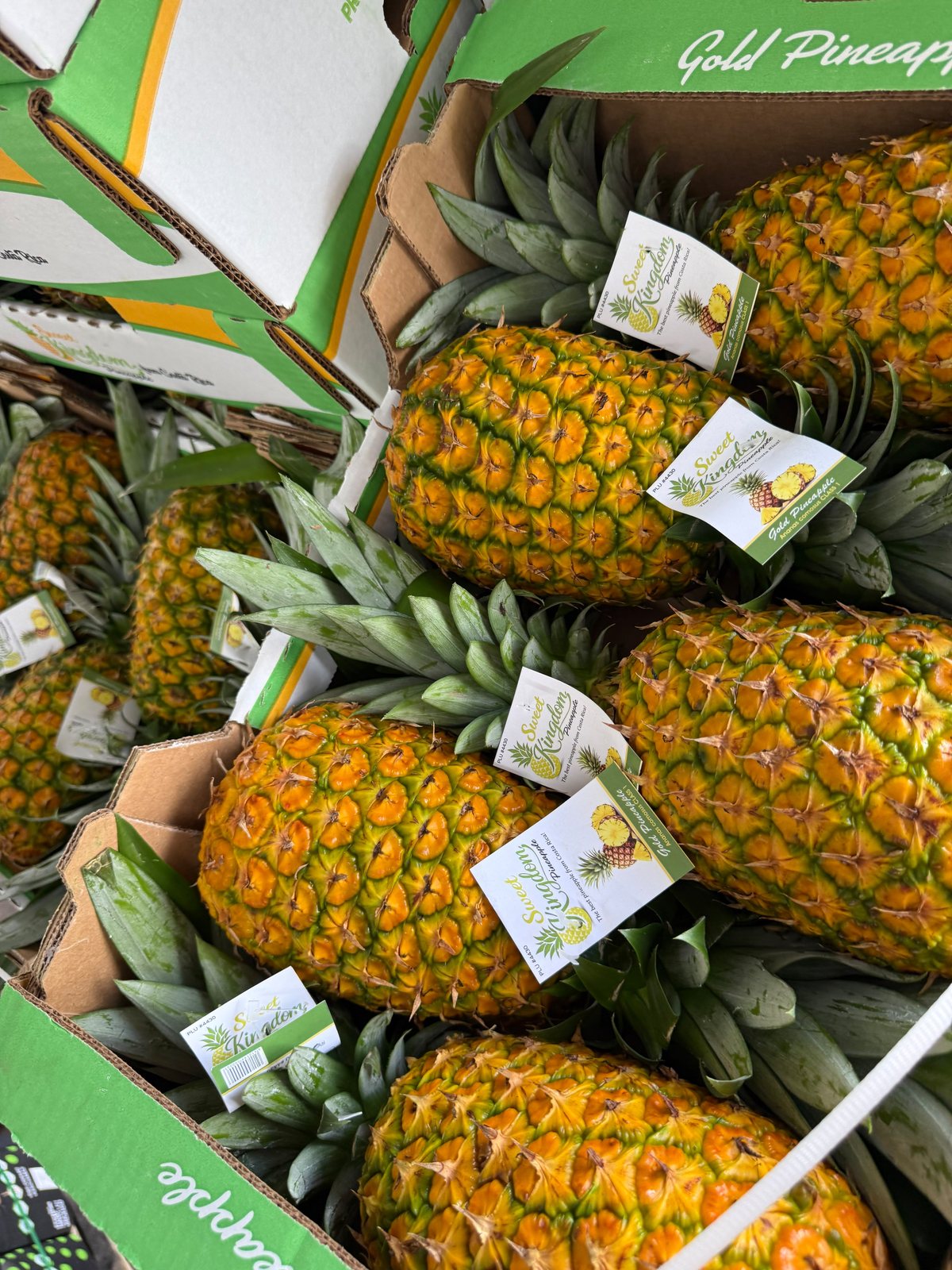 Pineapple