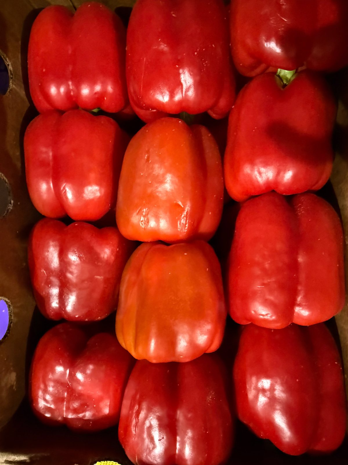 Red Peppers